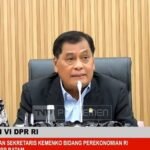 Nurdin Halid, Kepala BP Batam Menghadiri RDP dengan DPR RI setelah Dipimpin