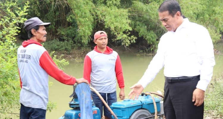 Menteri Pertanian: Gebrakan Meningkatkan Produksi Saat Paceklik