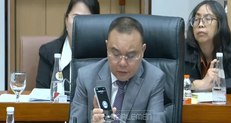 Penjelasan Sufmi Dasco Ahmad tentang Jenis Barang yang Terkena PPN 12 Persen Mulai 1 Januari 2025