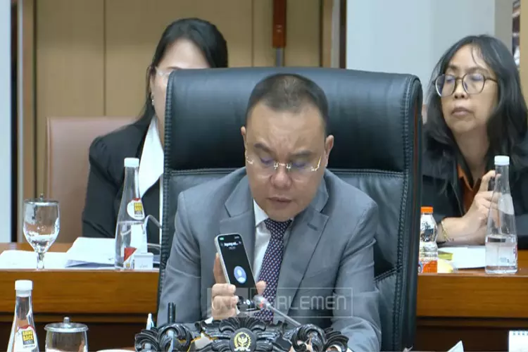 Penjelasan Sufmi Dasco Ahmad tentang Jenis Barang yang Terkena PPN 12 Persen Mulai 1 Januari 2025